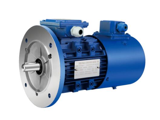 VARIABLE FREQUENCY MOTOR